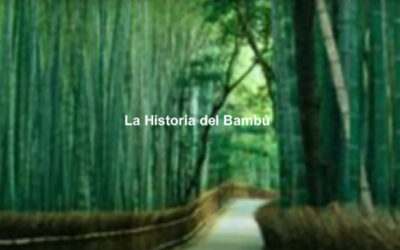 Historia del Sabio Bambú